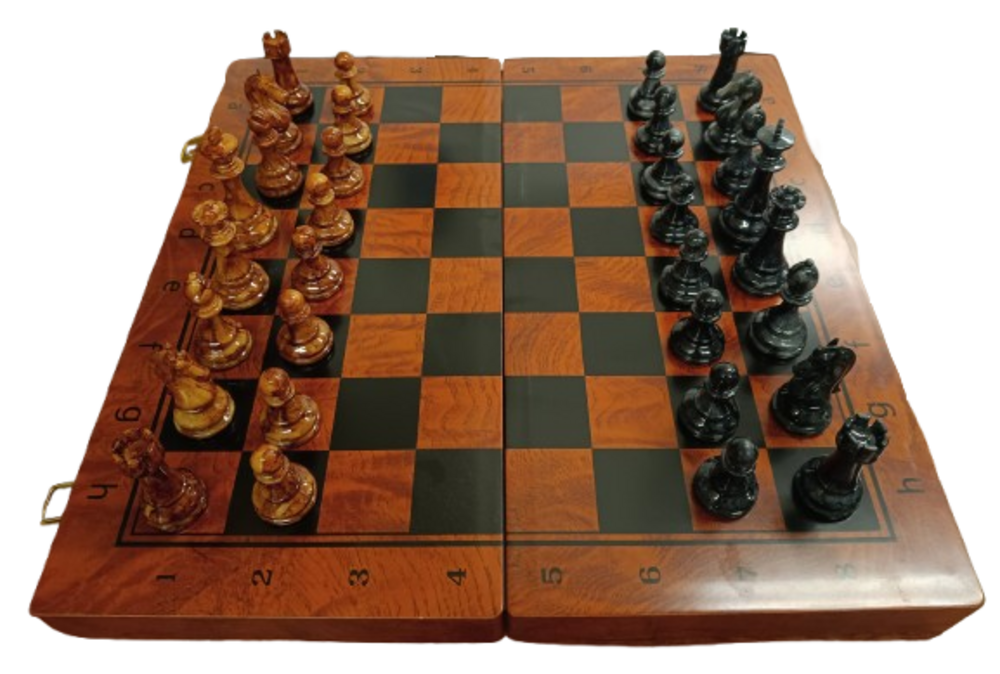 Xadrez AP23869C02