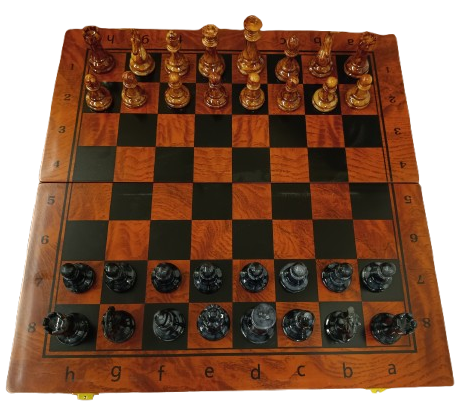 Xadrez AP23869C02