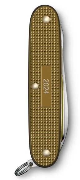 Victorinox Pioner 9F 08231L24